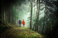 two people walking in foggy forest