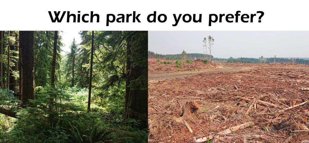 Rich forest and a clearcut side by side