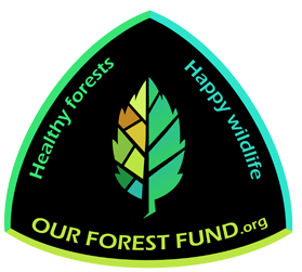Logo for Our Forest Fund